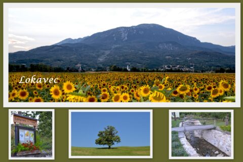 Urejanje kolesarske poti do Lokavca