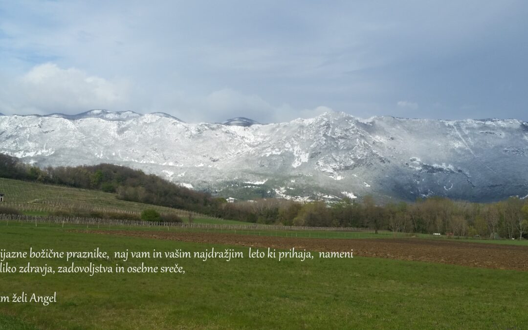 Praznično voščilo